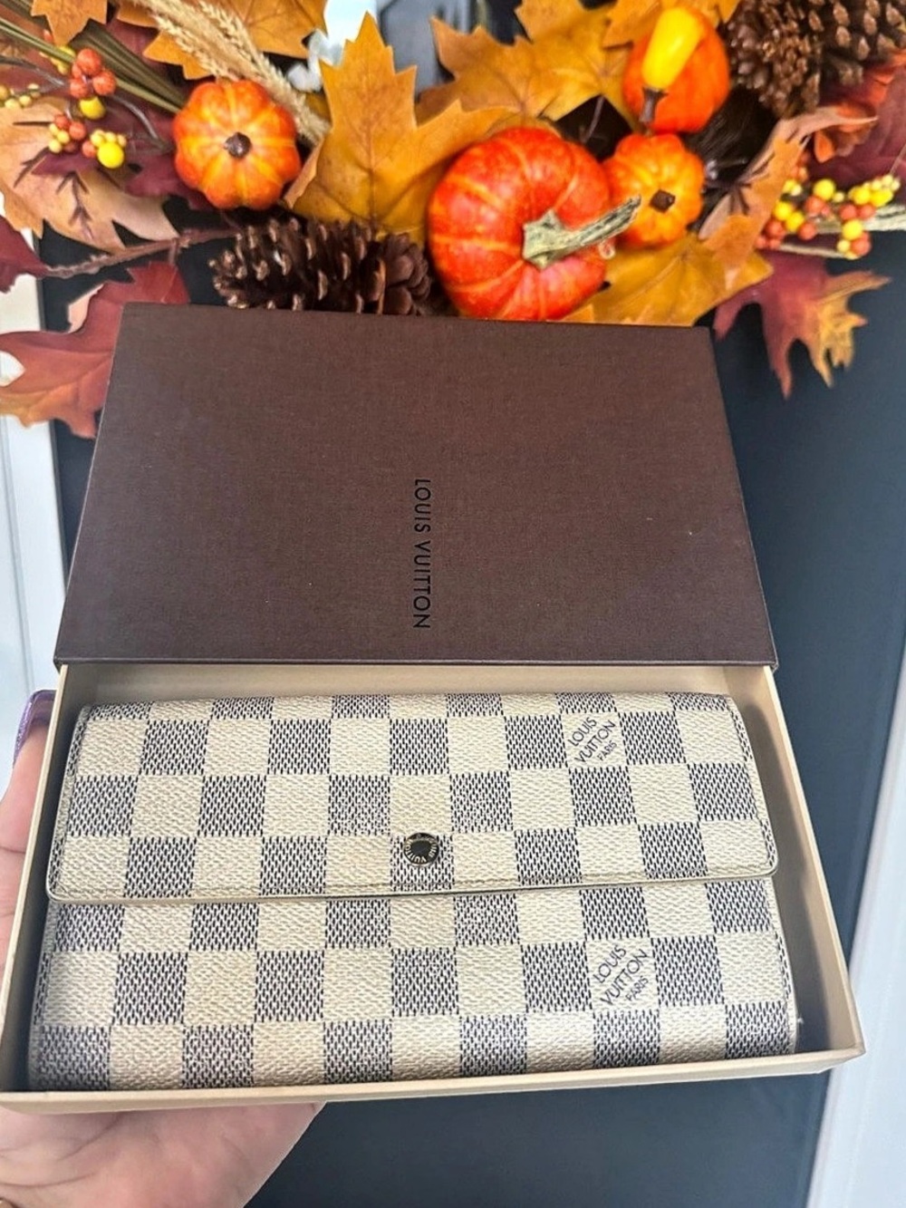 Louis Vuitton Sarah Wallet Damier Azur full inclusion MI1027